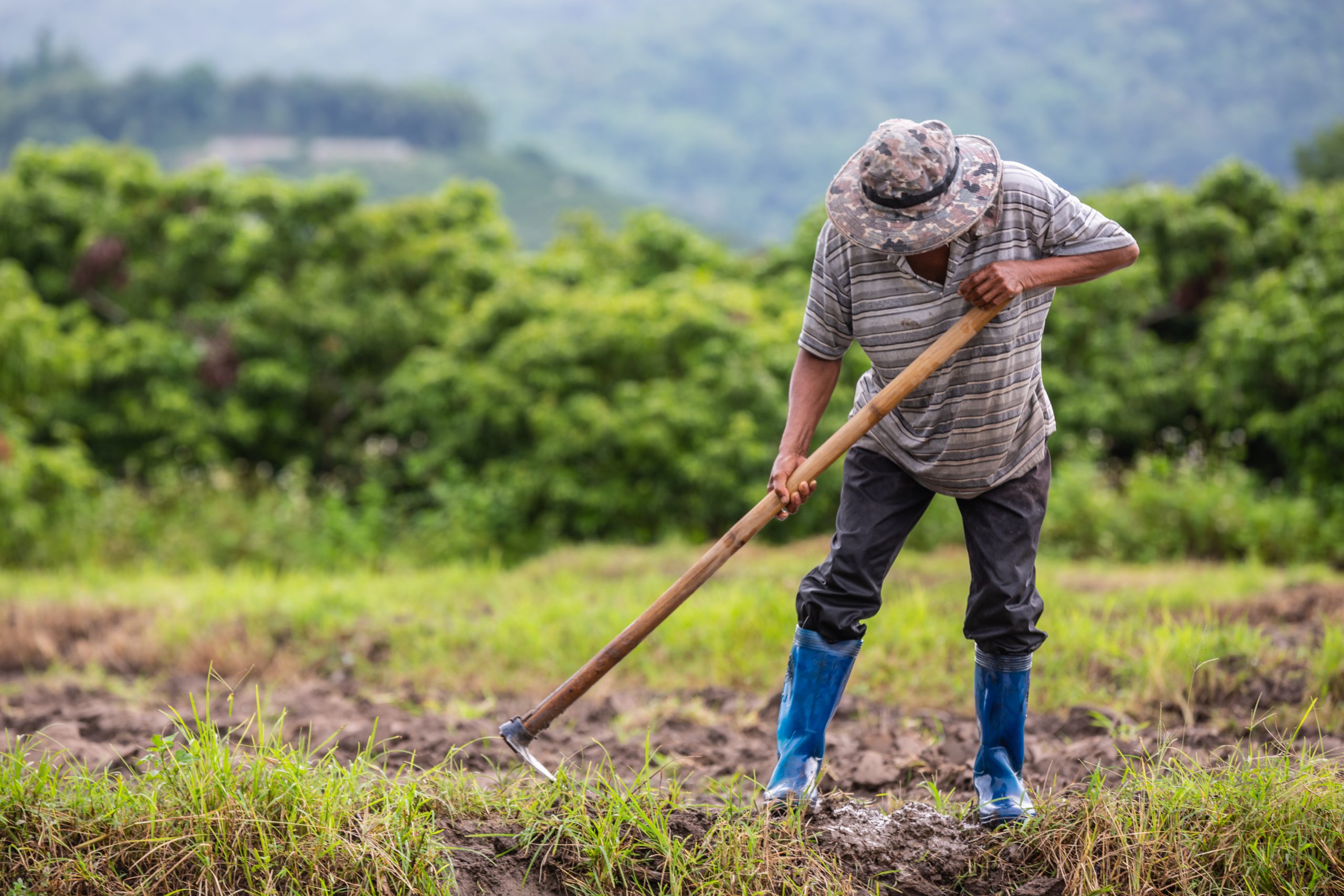 Ayuda a Agrónomos